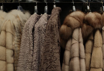 Furs